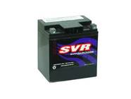 Wartungsfreie AGM Batterie von SVR f....