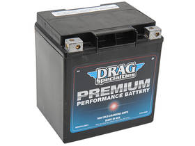 Wartungsfreie Premium AGM Batterie für Touring ab Bj. 99-20